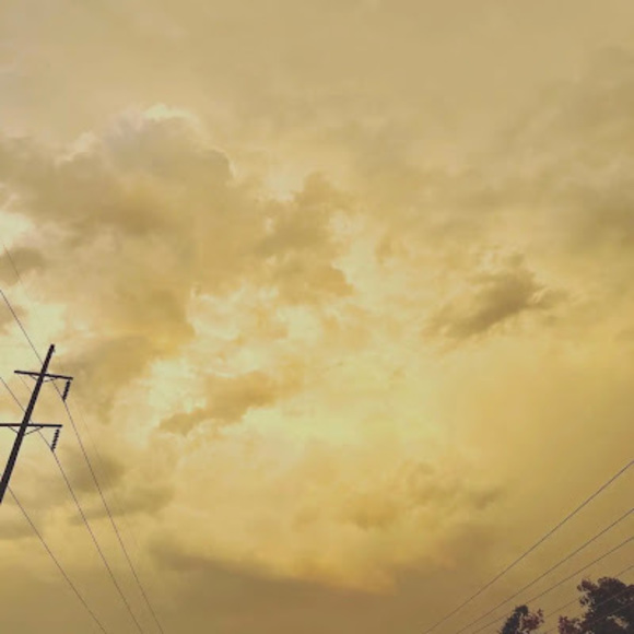 Meet your Posher, Maddie - Picture 1 of 1